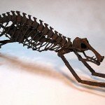 dinosaur bones bike_4