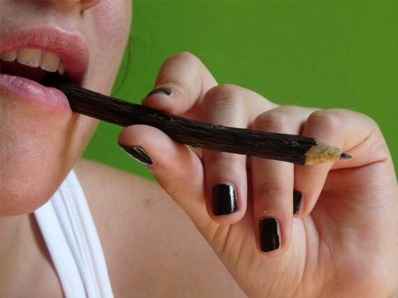 A Pencil You Can Actually Chew
