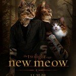 movies recast with cats_6 movies recast with cats_6