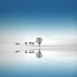 Landscapes by Philippe Sainte-Laudy_2