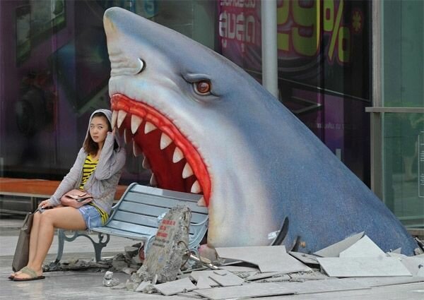 shark attack bench