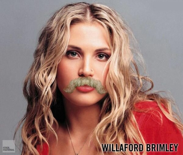 celeb mustache mashups_4