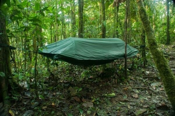 Camping Hammock