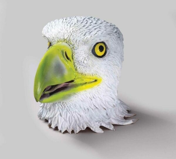 Eagle Swoops in on Toddler [video]