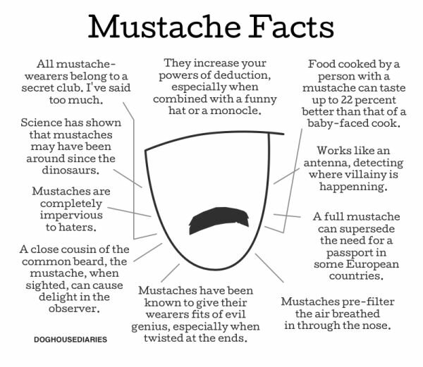 Celeb Mustache Mashups