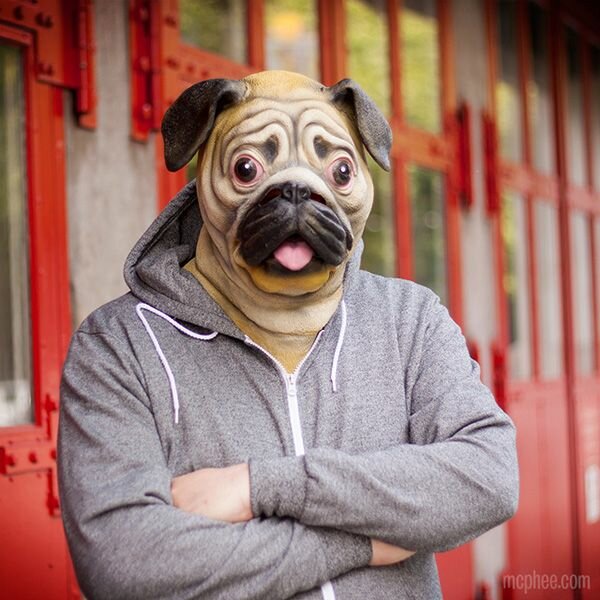 Pug Mask