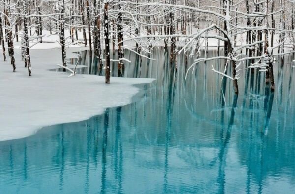 Blue Pond Changes Its Colors ‘With the Seasons’