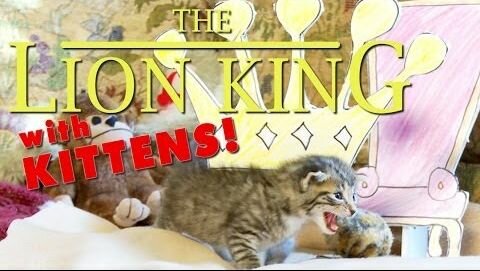 Kittens Act The Lion King [video]