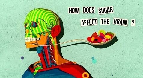Video Shows the Effects of Sugar on the Brain [video]